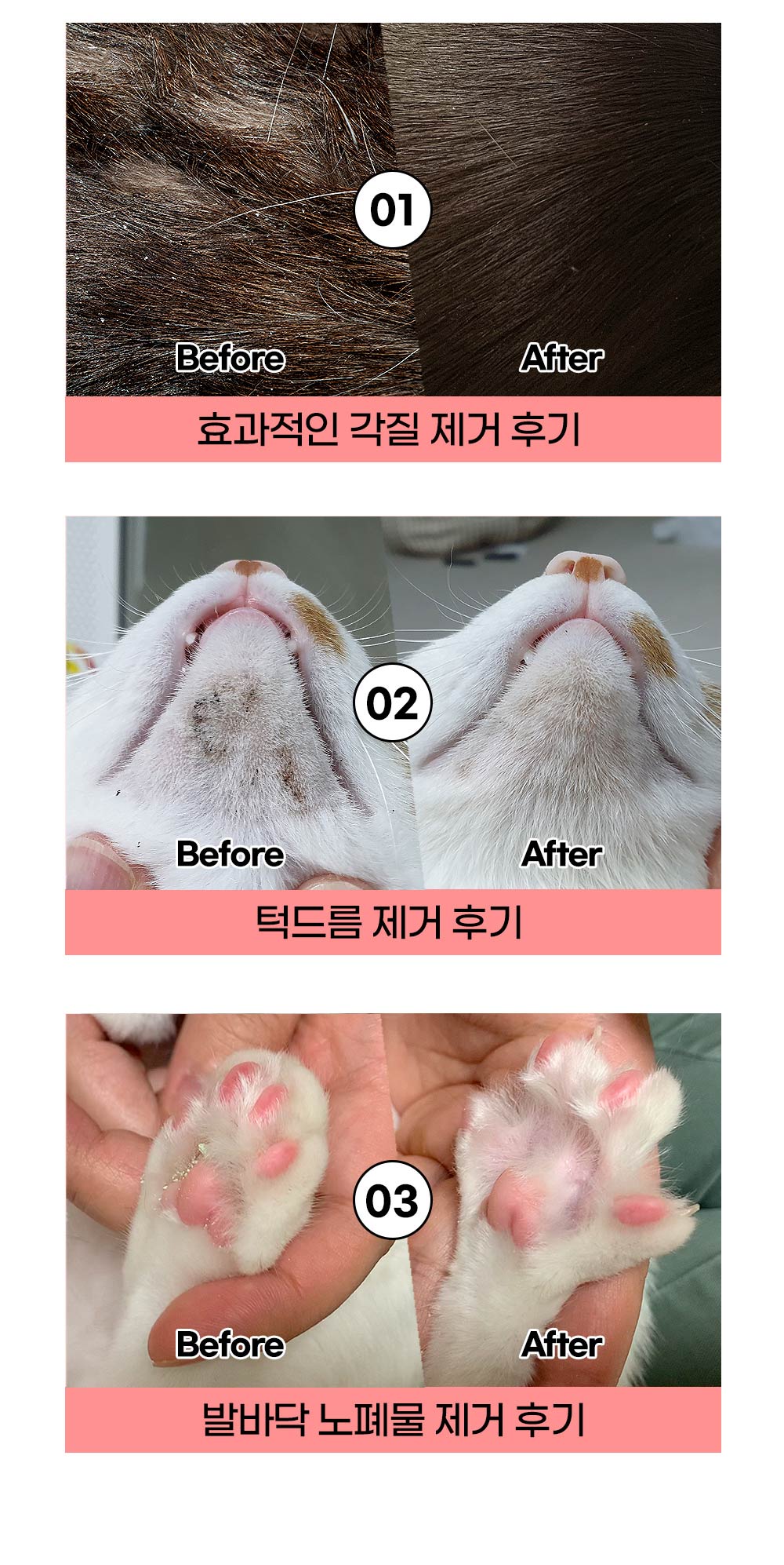 자유펫 [블랙씨드 브러쉬] 강아지 고양이 턱드름 꼬드름 블랙헤드 피지 제거 실리콘 브러쉬 - 티몬