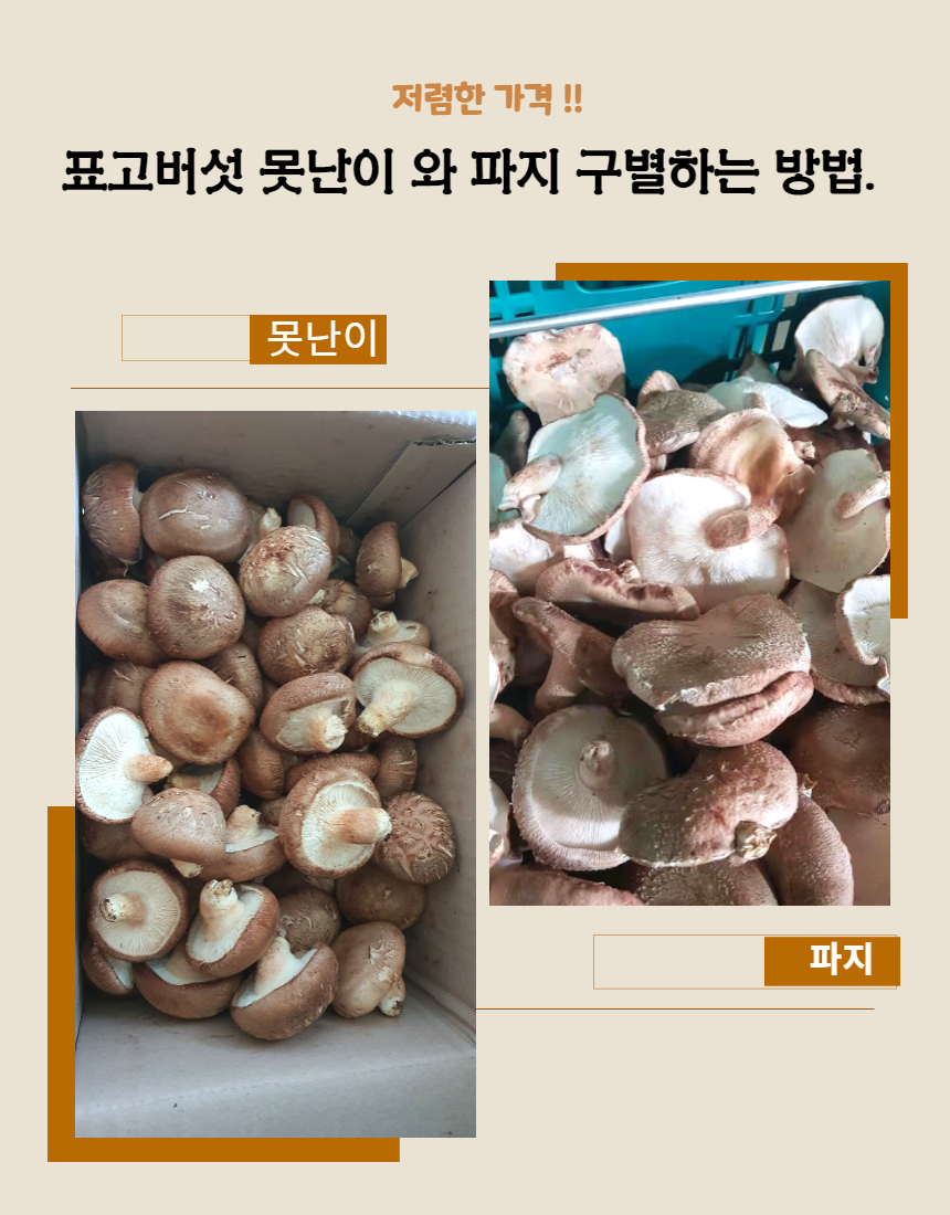 예산 표고버섯] 산지직송 표고버섯1Kg - 티몬