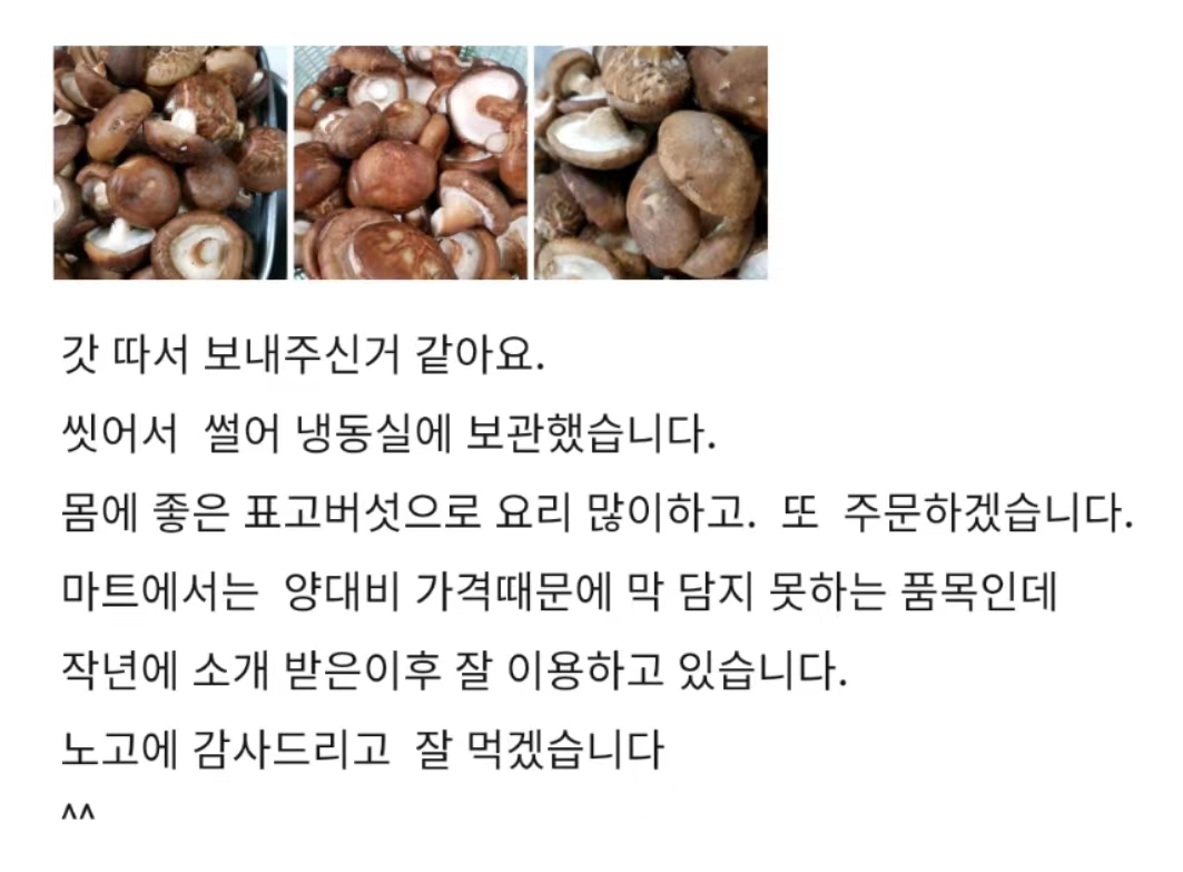 예산 표고버섯] 산지직송 표고버섯1Kg - 티몬