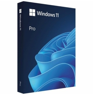 마이크로소프트 윈도우 11 프로 처음사용자용 한글 영구  정품 - 윈도우
